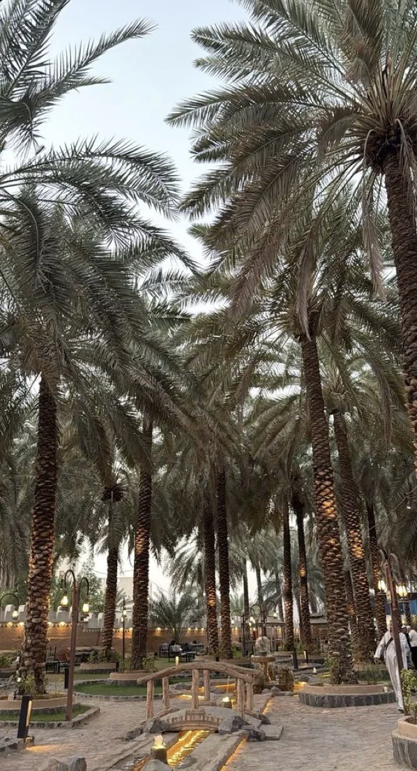 Allée au milieu des palmiers